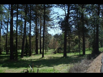 1700 Azalea Dr, Grants Pass, OR 97526 - photo 5