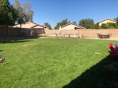Backyard (View from Patio)