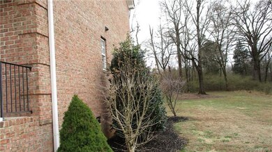 Butterfly bush, right side looking toward back yard.