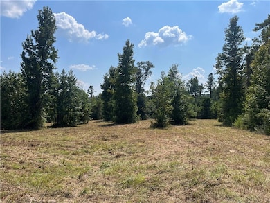 0 Cotile Lake Rd, Boyce, LA 71409 - photo 3