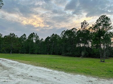 4658 Fir Rd, New Smyrna Beach, FL 32168 - photo 6