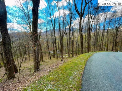 TBD Grandfather Farms Rd, Banner Elk, NC 28604 - photo 7