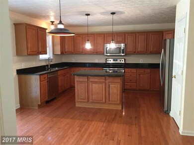 14169 Plentiful Creek Ln, Spotsylvania, VA 22551 - photo 3