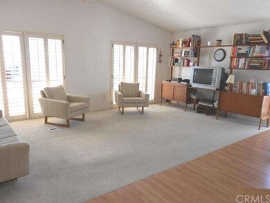 Living Room has lots of light.