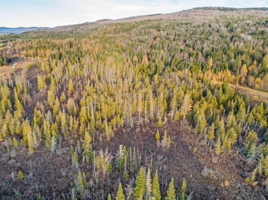 - Hall Stream & White Branch Rd, Pittsburg, NH 03592 - photo 4