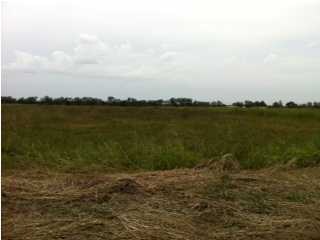 0 Prudhomme Rd, Eunice, LA 70535 - photo 6