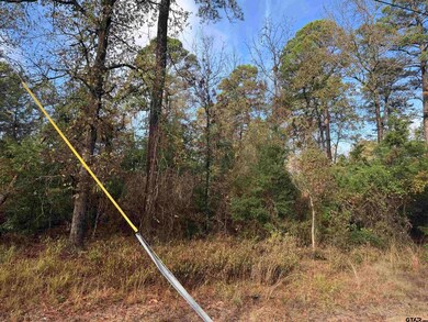 Lot 336 King Bernanrd, Scroggins, TX 75480 - photo 6