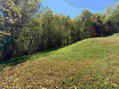 501 Maple St, Pulaski, VA 24301 - photo 4