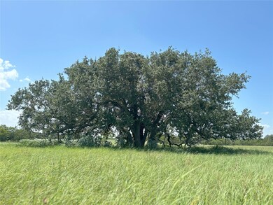 0 County Road 121 unit ACT4600066, Leesville, TX 78140 - photo 5