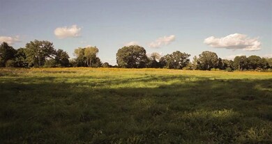 2051 Walnut Way (#10), Chelsea, MI 48118 - photo 5