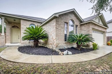 10703 Marot Field, Helotes, TX 78023 - photo 3