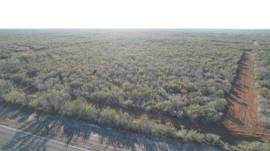 0 Fm 716 unit 20255318, Realtitos, TX 78376 - photo 5