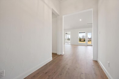 117 Highgate Ct, Boyd, TX 76023 - photo 6