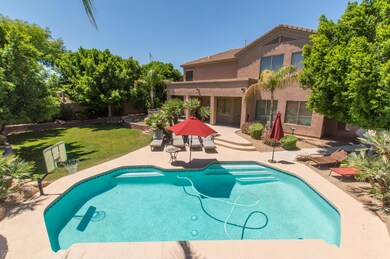 42 Back Yard