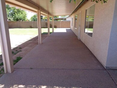Large Back Patio