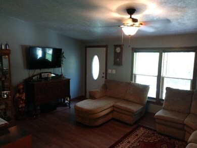 610 W Mohawk Trail, White Cloud, MI 49349 - photo 6