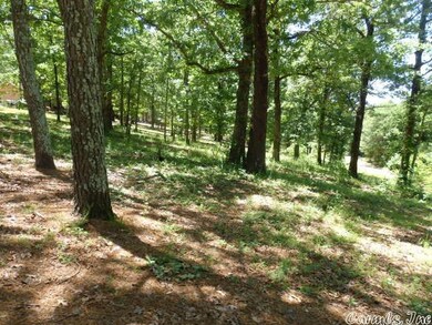 0 Cr 756, Jonesboro, AR 72401 - photo 4