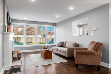 Those windows!