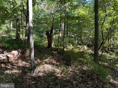 0 English Muffin Way, Berkeley Springs, WV 25411 - photo 4