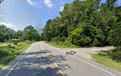 725 Roscoe Ct, Cross, SC 29436 - photo 5