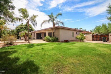 grassy side of yard