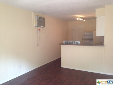 1241 N Lbj Dr unit B, San Marcos, TX 78666 - photo 2