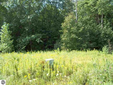 00 N Baldwin Resort Rd unit 1, East Tawas, MI 48730 - photo 2