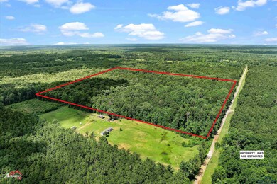 Aerial overview of property's location with a forest and property boundaries highlighted