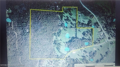 7123 Old 88 Rd, Rudy, AR 72952 - photo 3