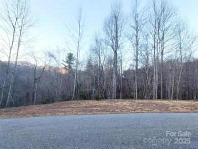 000 Clear Creek Trail unit 47, Lake Lure, NC 28746 - photo 6