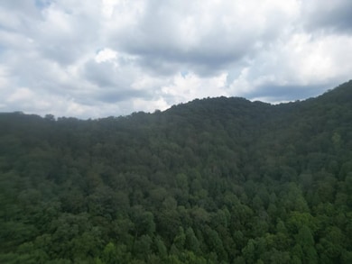 0 Rd, Wharncliffe, WV 24862 - photo 4