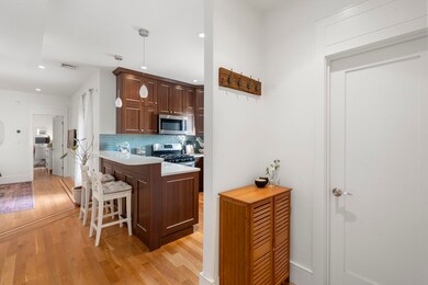250 C St unit 2, Boston, MA 02127 - photo 5