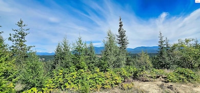 NNA 35 Acres Otter Ln, Naples, ID 83847 - photo 2