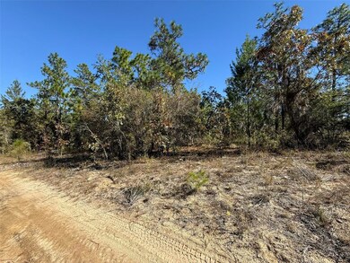 00 Monroe Ave, Hawthorne, FL 32640 - photo 7