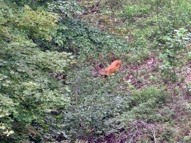 82 Baker Rd, Somerset, KY 42501 - photo 4