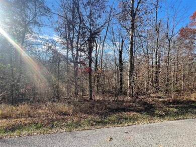 0 Terry Coal Rd unit RA20256681, Crofton, KY 42217 - photo 5