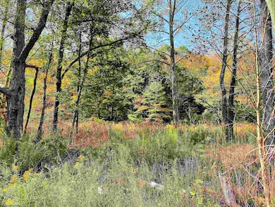 Lot 2 Blizzards Gate Rd, Harman, WV 26270 - photo 6