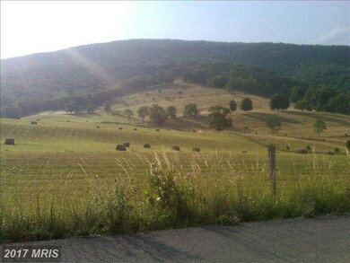 126 Spruce Shadow Ln, Circleville, WV 26804 - photo 5