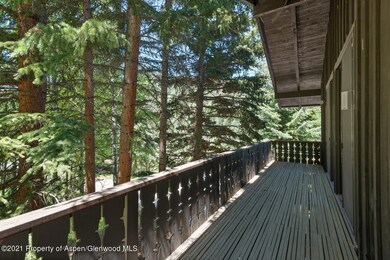 315 Glen Dee Rd Aspen CO 81611-large-010