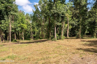 5-web-or-mls-Winding Creek Rd Lots 1 & 2