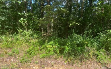 Additional View
