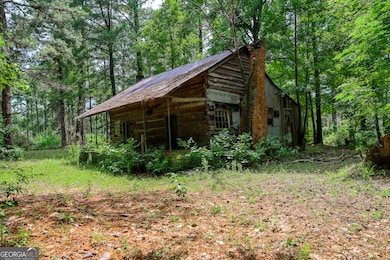 0 Moores Store Rd, Richland, GA 31825 - photo 3