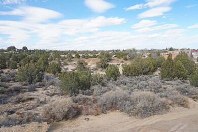 XX Marcy Place, Farmington, NM 87402 - photo 4