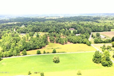 8 Laws Rd, Greeneville, TN 37743 - photo 6