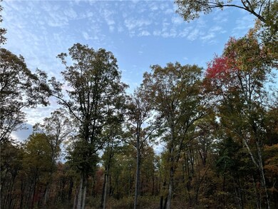 TBD Madison 4316, Elkins, AR 72727 - photo 6