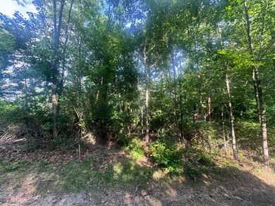 0 Irish Corner Rd, Summersville, WV 26651 - photo 3