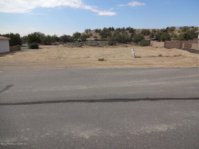 6415 Mulligan Rd, Farmington, NM 87402 - photo 3