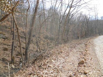 0 Stout Mountain Rd unit 729094, Winslow, AR 72959 - photo 7