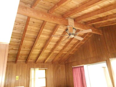 cathedral ceilings and patio doors