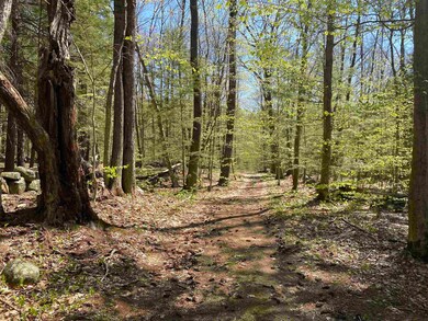 Map 214 Lot 99 Ashley Rd, Antrim, NH 03440 - photo 6